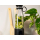 Huslog Blender bezprzewodowy TO GO 315W - 1571370 - zdjęcie 5